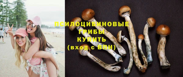 мяу мяу мука Богородицк