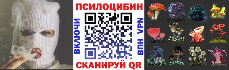 купить сайты Малая Вишера Галлюциногенные грибы прущие грибы